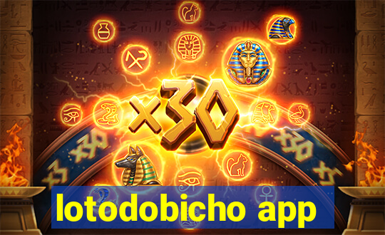 lotodobicho app